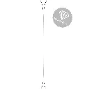 6.webp