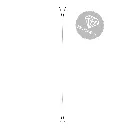 7.webp