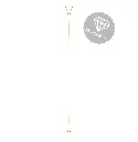 7.webp
