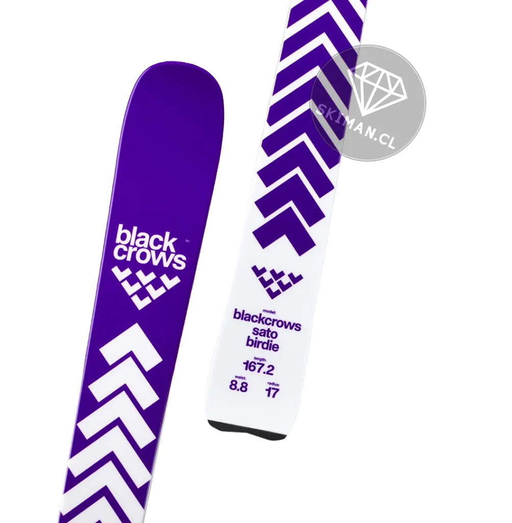 6.webp