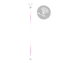 7.webp