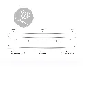 4.webp
