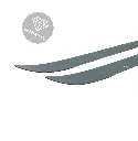 3.webp