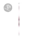 2.webp