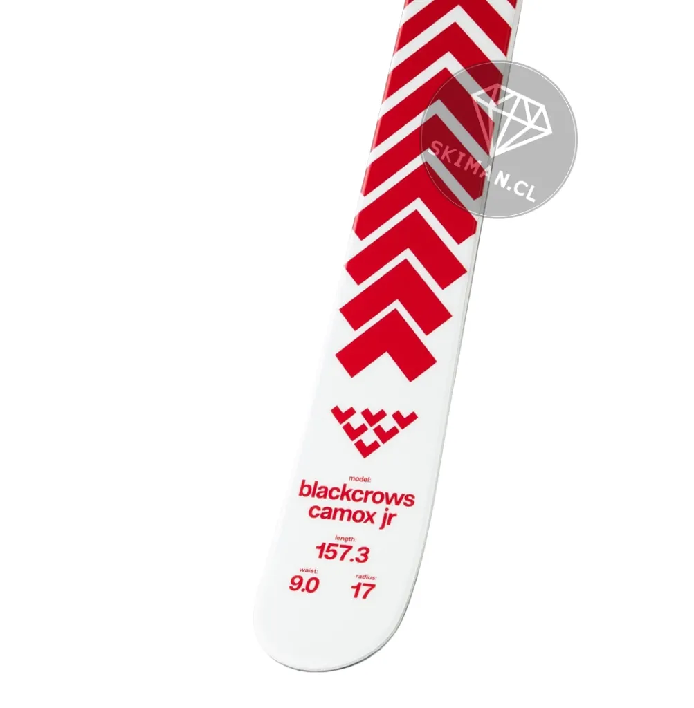 3.webp